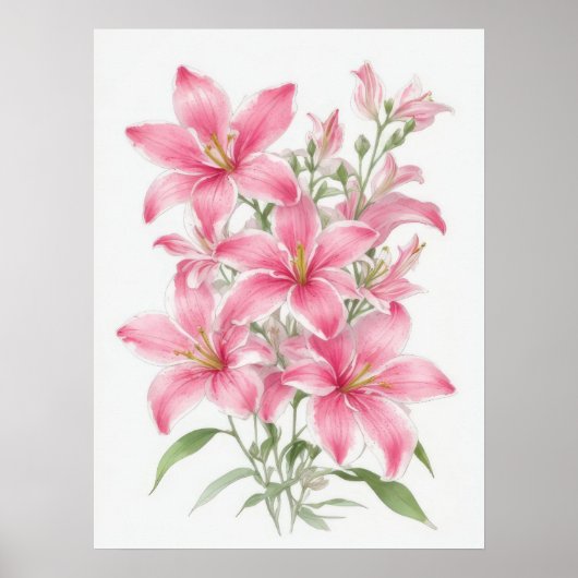 Roze Lily Flowers Poster (Voorkant)