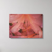 Roze Lily in de regen Canvas Afdruk (Voorkant)