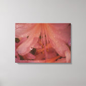 Roze Lily in de regen Canvas Afdruk (Voorkant)