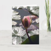 Roze Lily-kaart Kaart (Voorkant)