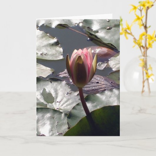 Roze Lily-kaart Kaart (Gele Bloem)