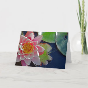 Roze Lily-kaart Kaart