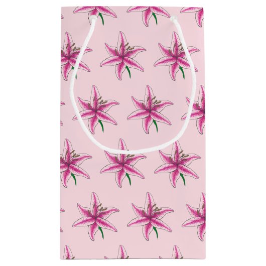 Roze Lily Lilies Blossom Flower Garden Spring Klein Cadeauzakje (Achterkant)