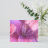 Roze Lily Macro Foto Briefkaart (Staand voorkant)