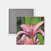 Roze Lily Magneet (Voorkant / Achterkant)