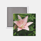 Roze Lily Magnet (Voorkant / Achterkant)