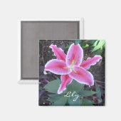 Roze Lily Magnet (Voorkant / Achterkant)