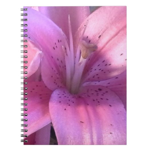 Roze Lily Notitieboek (Voorkant)