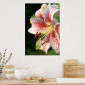 Roze Lily! Poster (Keuken)