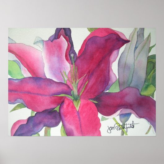 Roze Lily Print (Voorkant)