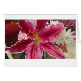 Roze Lily Surprise