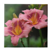 Roze Lily Tegel Tegeltje (Voorkant)