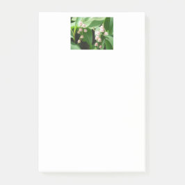 "Roze Lily van de Valley! Post-it® Notes