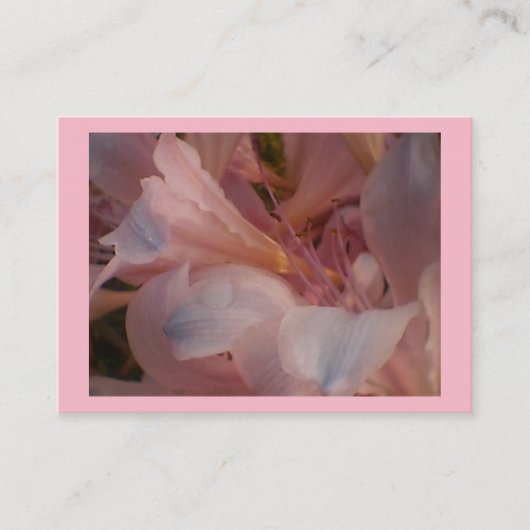 Roze Lily Visitekaartje (Voorkant)