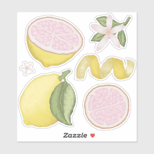 Roze limonade citroen bloem citrus sticker vel (Vel)