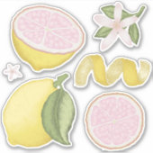 Roze limonade citroen bloem citrus sticker vel (Voorkant)