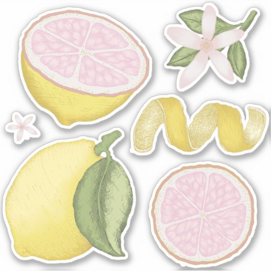Roze limonade citroen bloem citrus sticker vel (Voorkant)