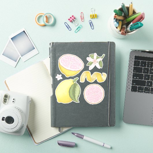 Roze limonade citroen bloem citrus sticker vel (iPad Cover)