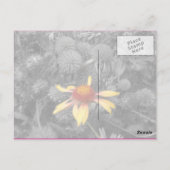 Roze lint borstkanker Bedankt Briefkaart (Achterkant)