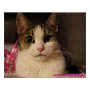 Roze Lint Editie: Dainty Doll in Zachte Portret Perfect Poster