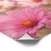 Roze Lint Vlinders in een Madeliefjestuin Perfect Poster (Hoek)