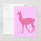 Roze Llama Briefkaart (Voorkant / Achterkant)