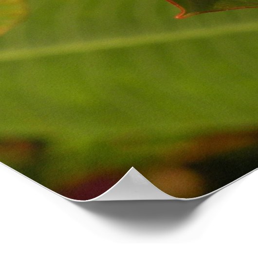 Roze loodgieter poster (Hoek)