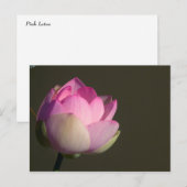 Roze Lotus Aankondigingskaart (Voorkant / Achterkant)