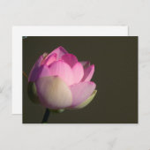 Roze Lotus Aankondigingskaart (Voorkant / Achterkant)