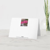 Roze Lotus Bedankkaart (Achterkant)