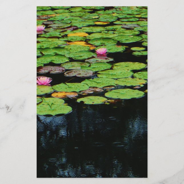 roze lotus black (Voorkant)