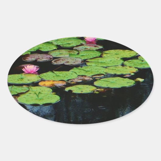 roze lotus black ovale sticker (Voorkant)