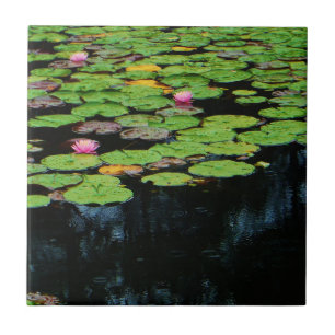 roze lotus black tegeltje
