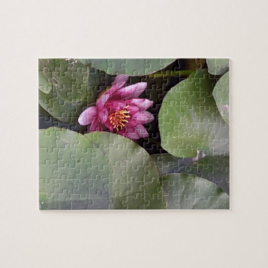 Roze Lotus Bloem Fotopuzzel met geschenkdoos Legpuzzel (Horizontaal)