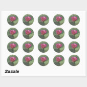 Roze Lotus Bloem Ronde Sticker (Vel)
