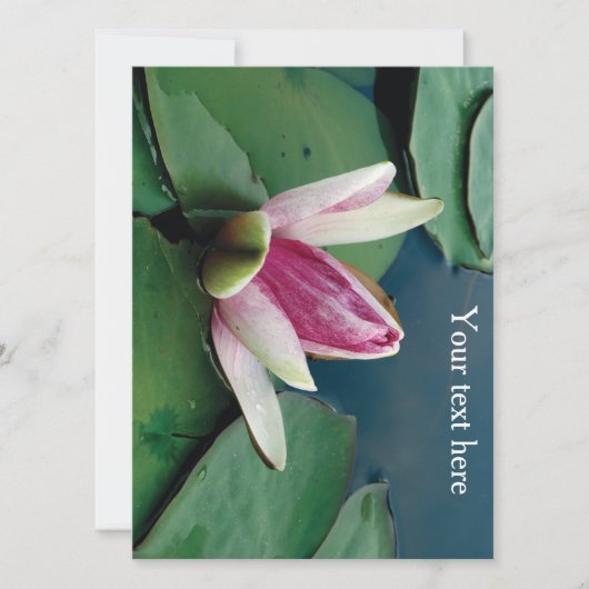 Roze Lotus Bloesem Bloem Foto Uitnodiging (Voorkant)