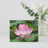 Roze Lotus Bloom Briefkaart (Staand voorkant)