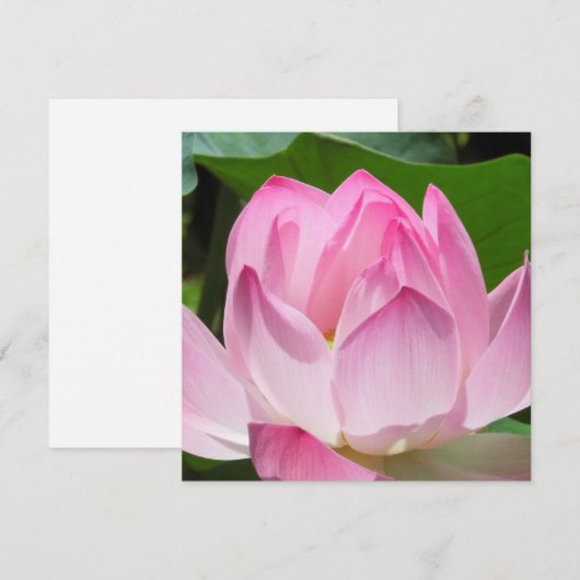 Roze Lotus Bloom Feestdagenkaart (Voorkant / Achterkant)