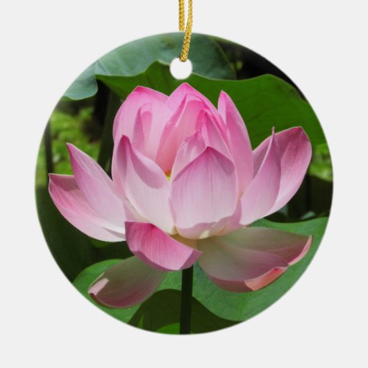 Roze Lotus Bloom Keramisch Ornament (Voorkant)
