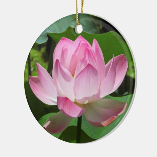 Roze Lotus Bloom Keramisch Ornament (Links)
