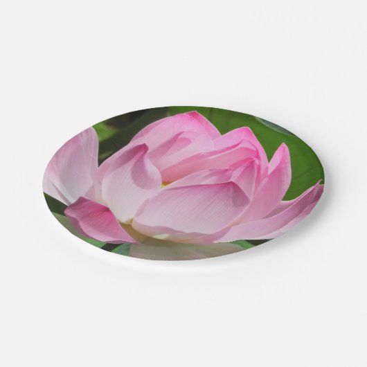 Roze Lotus Bloom Papieren Bordje (Gekanteld)