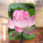 Roze Lotus Bloom Raamsticker (Vel 2)