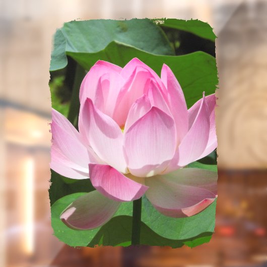Roze Lotus Bloom Raamsticker (Vel 2)