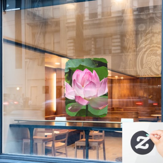 Roze Lotus Bloom Raamsticker (Cafe Raam)