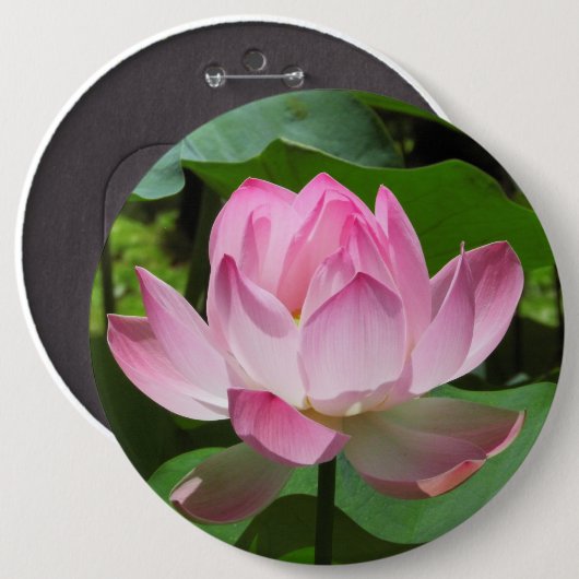 Roze Lotus Bloom Ronde Button 6,0 Cm (Voorkant /achterkant)