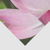 Roze Lotus Bloom Tissuepapier (Detail)