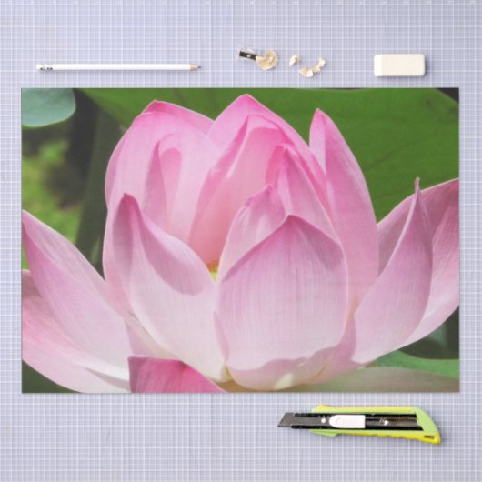 Roze Lotus Bloom Tissuepapier (Craft)