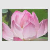 Roze Lotus Bloom Tissuepapier (Voorkant)