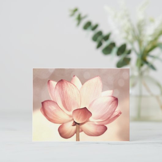 Roze Lotus Blossom Briefkaart (Staand voorkant)