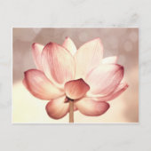 Roze Lotus Blossom Briefkaart (Voorkant)
